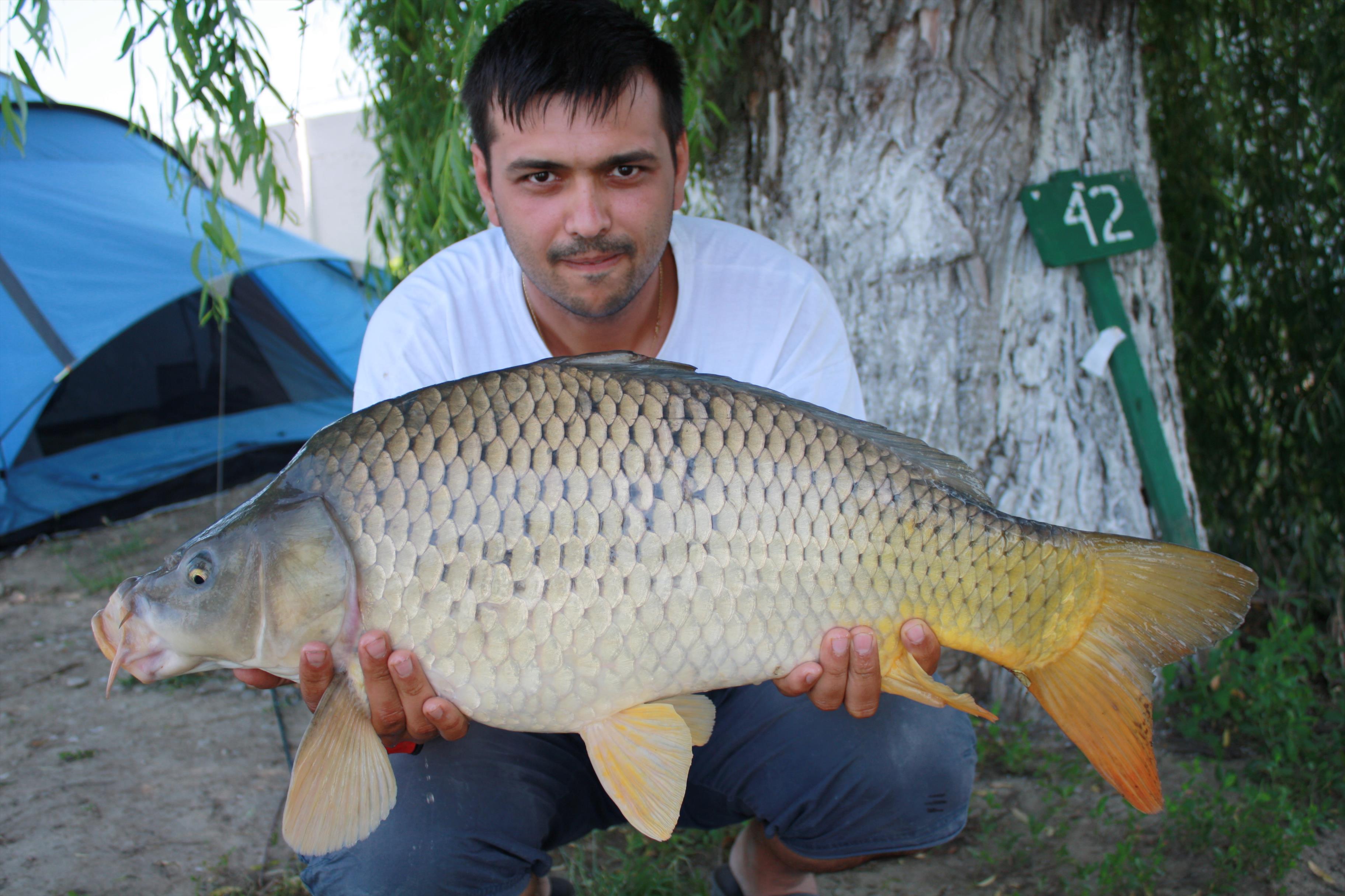 Pleasa 9-10.06.2012 - Captura partidei, 7kg
